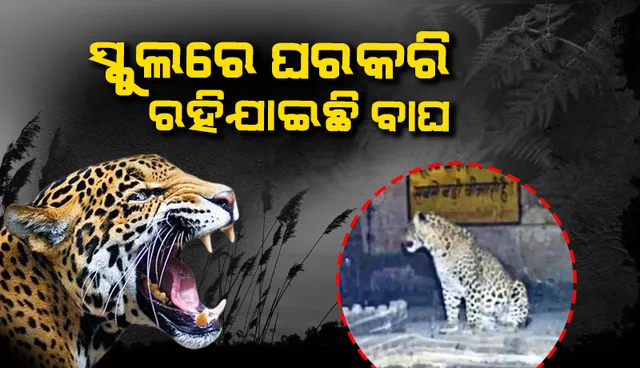 ସ୍କୁଲ୍‌ରେ କଲରାପତ୍ରିଆ ଘରକରି ରହିବାରୁ ପଢ଼ିବାକୁ ଯାଇ ପାରୁନାହାନ୍ତି ପିଲା