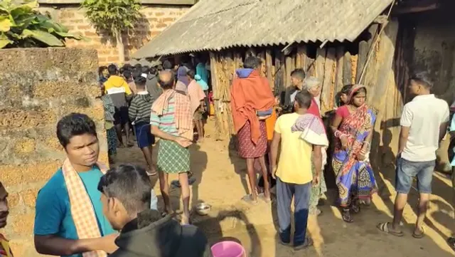 ହାତୀ ଆକ୍ରମଣରେ ଦିନ ମଜୁରିଆ ଗୁରୁତର