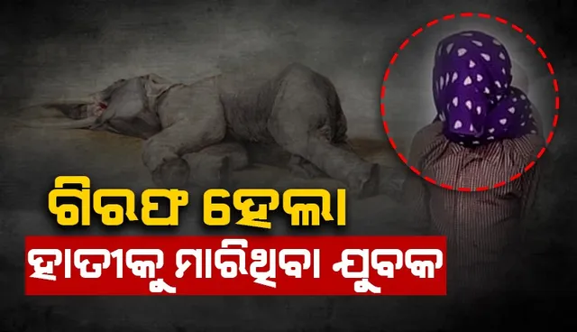 ତେଲକୋଇରେ ମାଈହାତୀର ମୃତ୍ୟୁ ଘଟଣା: ଅଭିଯୁକ୍ତ ଗିରଫ