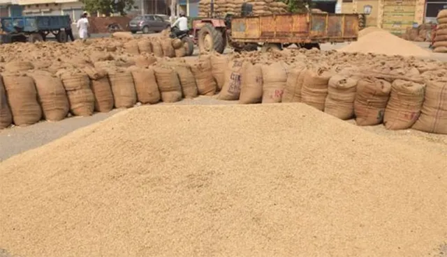 ଚାଷୀଙ୍କ ସ୍ବାର୍ଥକୁ ଅଣଦେଖା ଜାରି: ମଣ୍ଡିରେ ସର୍ବନିମ୍ନ ଭିତ୍ତିଭୂମି ନାହିଁ, କାକରରେ ଭିଜୁଛି ଧାନ