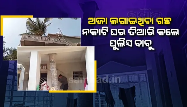 ୩୫ବ‌ର୍ଷ ପୂର୍ବେ ଅଜା ଲଗାଇଥିବା ଗଛକୁ ନକାଟି ଏଭଳି ସୁନ୍ଦର ଘର ତିଆରି କଲେ ପୁଲିସ ବାବୁ