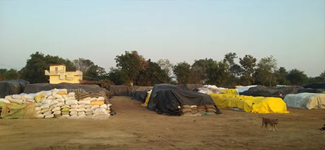 ନିର୍ବାଚନରେ ମାତିଲା ପ୍ରଶାସନ, ଏଣେ ମଣ୍ଡିରେ ଭିଜୁଛି ଧାନ 