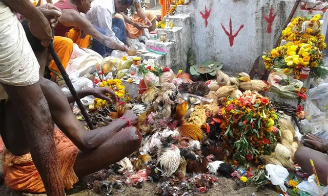 ଆଜି ଶୁଲିଆ ଯାତ୍ରା: ଉତ୍ସାହିତ ଆଦିବାସୀ, ନିରବ ପ୍ରଶାସନ