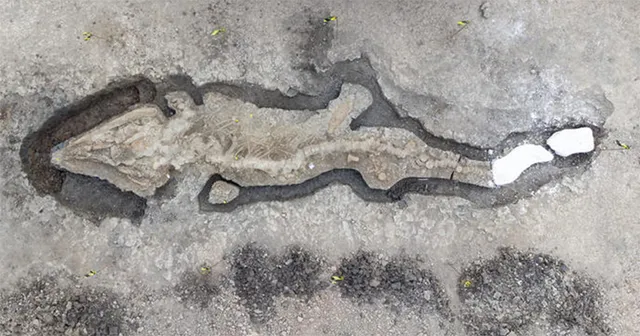 ନୂଆ ସମୟ ନୂଆ କଥା - ସମୁଦ୍ର ଡ୍ରାଗନ୍‌ର ଜୀବାଶ୍ମ