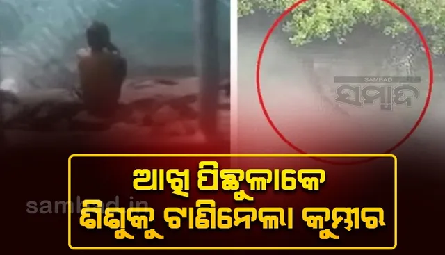 ଡଙ୍ଗାରେ ବାପା ସହ ବସି ଯାଉଥିବା ବେଳେ ଆଖି ପିଛୁଳାକେ ଶିଶୁକୁ ଟାଣିନେଲା କୁମ୍ଭୀର