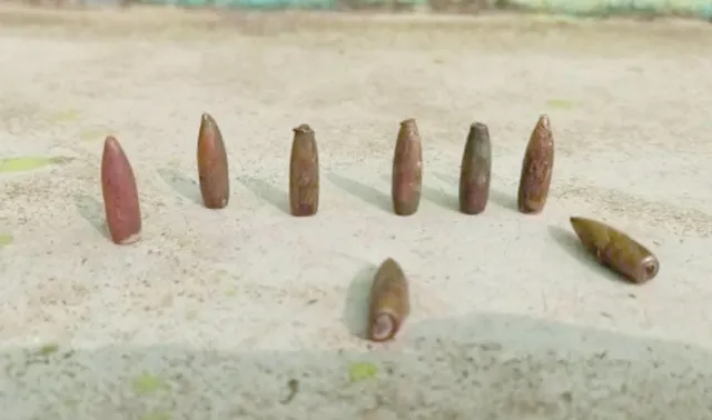 ବିପଦରେ ନୂଆଶାସନ ଗ୍ରାମବାସୀ, କାଳ ସାଜିଛି ପୁଲିସ ବାବୁଙ୍କ ବନ୍ଧୁକ ଅଭ୍ୟାସ