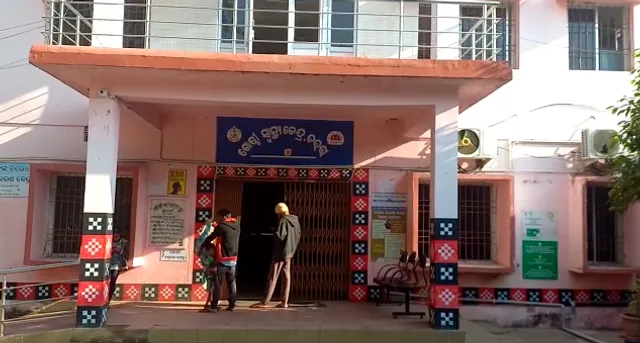 ଧାନ ଜଗିବାକୁ ଯାଇଥିଲେ ଚାଷୀ: ଦଳିଦେଲା ହାତୀ