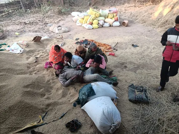 ଚିରଗୁଣିକୁଦରରେ ଧାନ ଖଳାରେ ଚାଷୀଙ୍କୁ ଦଳିଦେଲା ହାତୀ