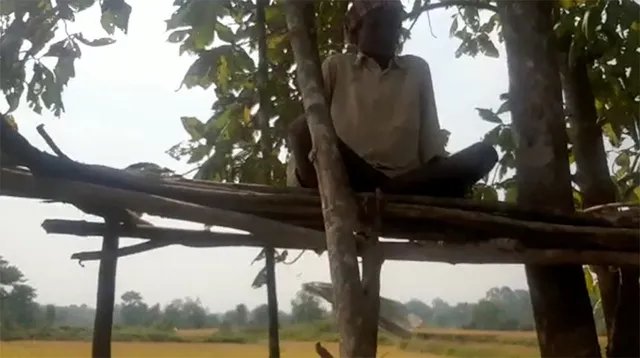 ପଞ୍ଚାୟତିରାଜ ବ୍ୟବସ୍ଥାରେ ନିଷ୍ଠାର ମୂଲ୍ୟ ଏତିକି: ପାଞ୍ଚବର୍ଷ ତଳେ ଲୋକଙ୍କ ପ୍ରିୟ ସରପଞ୍ଚ ଆଜି ପରିବା ବିକୁଛନ୍ତି