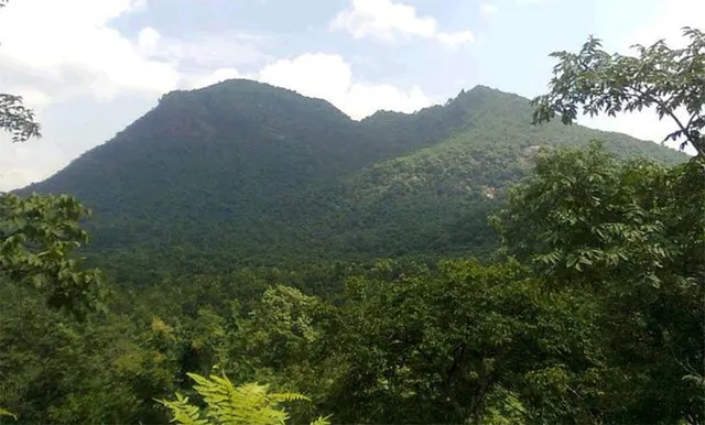 ଗନ୍ଧମାର୍ଦ୍ଦନକୁ ଜୈବ ବିବିଧତା ଐତିହ୍ୟସ୍ଥଳ ମାନ୍ୟତା