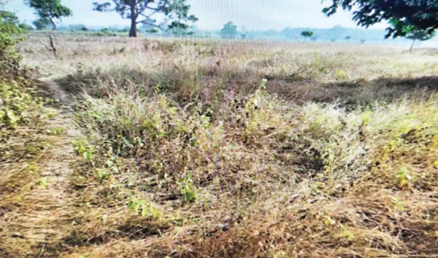 କ୍ଷେତ୍ର ପରିଦର୍ଶନରୁ ଧରାପଡ଼ିଲା ଜାଲିଆତି: ମିଛ ଚାଷୀ, ମିଛ ଜମି