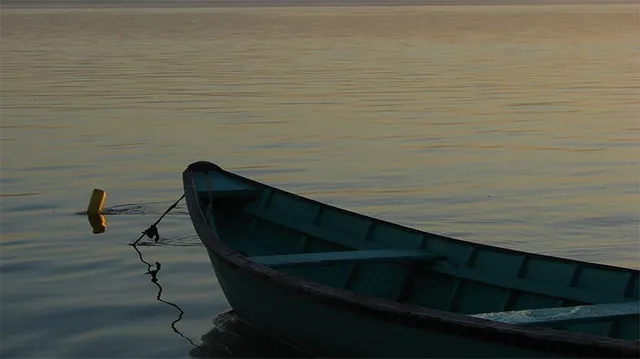 ଅଳ୍ପକେ ବର୍ତ୍ତିଲେ ୧୫ ଖେଳାଳି, କ୍ରିକେଟ୍ ଖେଳି ନଦୀପାର ବେଳେ ଡଙ୍ଗା ଓଲଟିଲା