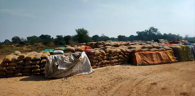 ୫୩ ମଣ୍ଡିରେ ଭିତ୍ତିଭୂମି ନାହିଁ, ରାସ୍ତାକଡ଼ ଓ ଖେଳପଡ଼ିଆରେ ଧାନ ସଂଗ୍ରହ