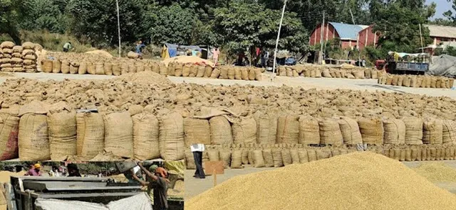 ମଣ୍ଡି ସ୍ଥିତି ଅଣାୟତ୍ତ, କେବେ କିଣା ହେବ ଚାଷୀଙ୍କ ଧାନ ?