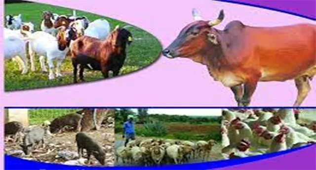 ପଦୋନ୍ନତି ପରେ ବି ପଦ ଛାଡ଼ିବାକୁ ନାରାଜ !