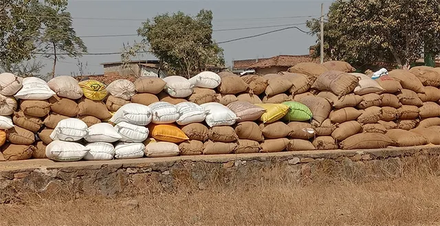 ବରଗଡ଼ରେ ଧାନକିଣାର ବିକଳ ଚିତ୍ର