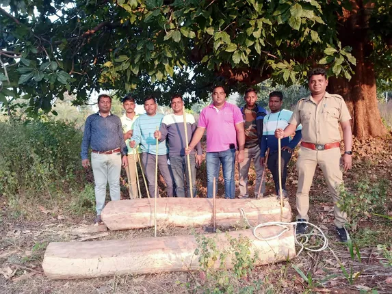 ୨ ଗୋଟି ଶାଳ ଗଣ୍ଡି ଜବତ କଲା ବନବିଭାଗ