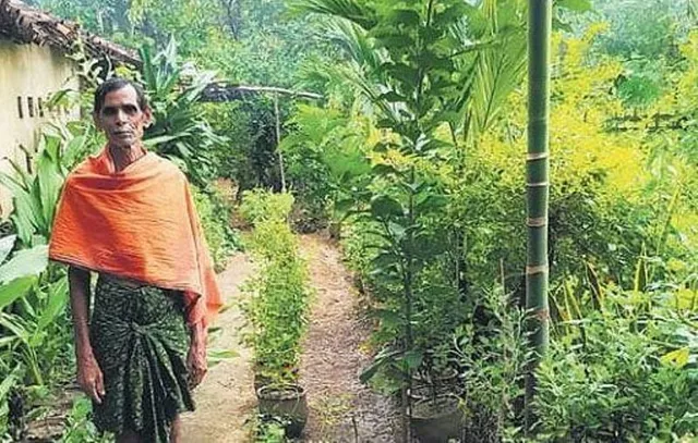 ବିଲୁପ୍ତ ଔଷଧୀୟ ବୃକ୍ଷର ସଂରକ୍ଷଣ ଦେଲା ପଟାୟତ ସାହୁଙ୍କୁ ସ୍ବୀକୃତି, ପଦ୍ମଶ୍ରୀ ଲାଗି ହେଲେ ମନୋନୀତ