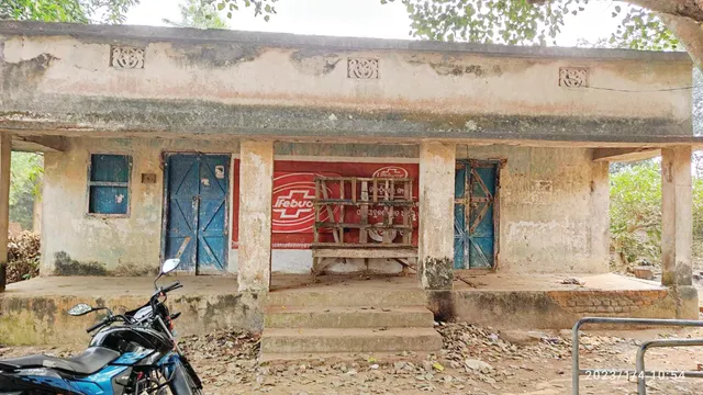 ପ୍ରାଣୀ ଚିକିତ୍ସା ସେବାର ବିକଳ ଚିତ୍ର, ଡାକ୍ତର ଅଛନ୍ତି, ଆସୁ ନାହାନ୍ତି