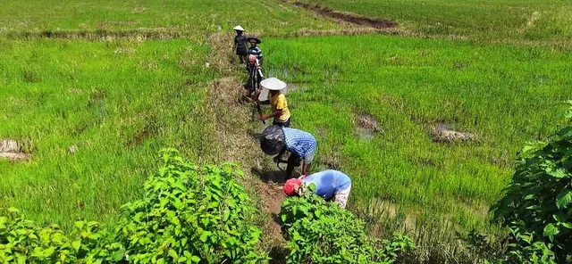 ଖରିଫ୍ ମଣ୍ଡି ପଞ୍ଜୀକରଣରେ ୮୫% ନକଲି ପ୍ଲଟ୍: ଧରିଲା ସ୍ୟାଟଲାଇଟ୍ ସର୍ଭେ, ୧୭୫୧୨ରୁ ୨୪୯୮ ପ୍ଲଟ ବୈଧ