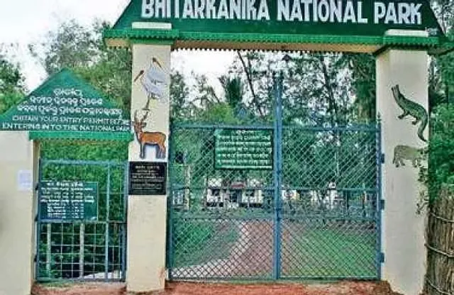 ୧୧ ଦିନ ପରେ ଖୋଲିଲା ଭିତରକନିକା ଜାତୀୟ ଉଦ୍ୟାନ: ପର୍ଯ୍ୟଟକଙ୍କ ଗହଳି