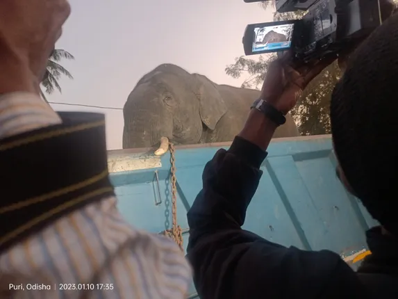 ଟ୍ରାଙ୍କୁଲାଇଜ ପରେ ପୁରୀରୁ ଚନ୍ଦକା ଗଲା ଦନ୍ତା