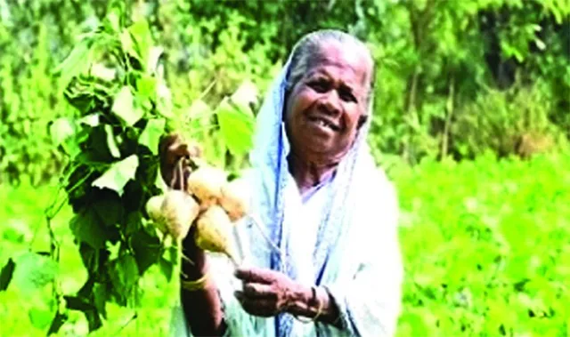 ନୂଆ ଦିଶା ଦେଖାଇଛି ମିଠାଆଳୁ ଚାଷ