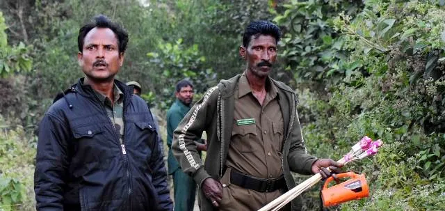 ବାଲିଗୁଆଳିଠାରେ ହାତୀ: ଚିନ୍ତାରେ ସ୍ଥାନୀୟ ଅଧିବାସୀ।