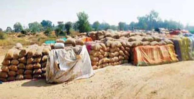 ଧାନ ବିକ୍ରି ପାଇଁ କଲବଲ ଚାଷୀ: ସବୁଠି କଟନି ଛଟନି, ପଶ୍ଚିମ ଓଡ଼ିଶାରେ ମଣ୍ଡିରେ କଟୁଛି ରାତି