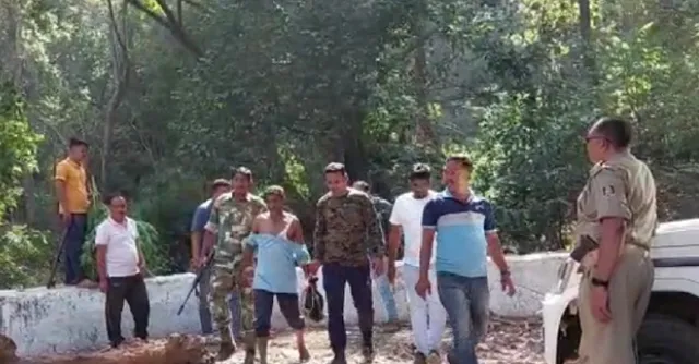 ଗଞ୍ଜେଇ ଗଛ କାଟିବାକୁ ଯାଇ ପୁଲିସ ନାକେଦମ, ଆକ୍ରମଣରେ ୭ପୁଲିସ କର୍ମଚାରୀ ଆହତ