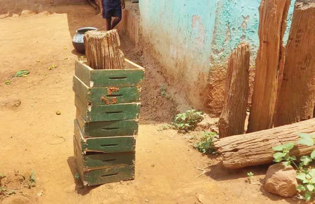 ହଜିଗଲା ‘ନଗଡ଼ା ମହୁ’, ସ୍ବାବଲମ୍ବୀ କରାଇବା ଆଳରେ ପ୍ରହସନ