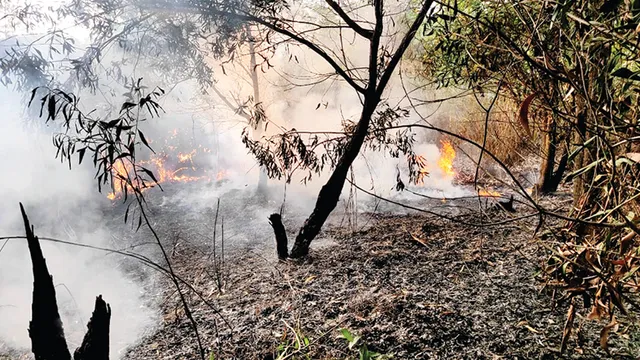 ତାଳବଣିଆ ଜଙ୍ଗଲକୁ ନିଆଁ ଭୟ, ୧୬ ଦିନରେ ୪ଥର ଲାଗିଲାଣି ନିଆଁ