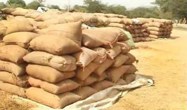 ବରଗଡ଼ ଧାନ ଯାଇଛି ଛତିଶଗଡ଼!