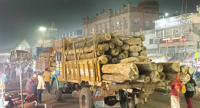 ଶ୍ରୀକ୍ଷେତ୍ରରେ ପହଞ୍ଚିଲା ରଥକାଠ, ପ୍ରଥମ ପର୍ଯ୍ୟାୟ ଆସିଲା ୧୦୪ ଖଣ୍ଡ