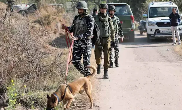 ଢାଙ୍ଗ୍‌ରୀ ଆତଙ୍କବାଦୀ ଆକ୍ରମଣକାରୀଙ୍କ ଉପରେ ସେନାର ଚଢ଼ାଉ; ୨ ଆତଙ୍କବାଦୀ ନିହତ