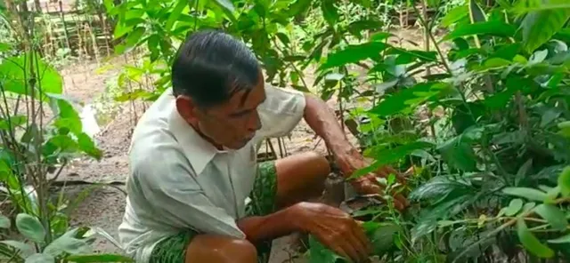 କୃଷି ପାଇଁ ପଟାୟତ ସାହୁଙ୍କୁ ପଦ୍ମଶ୍ରୀ