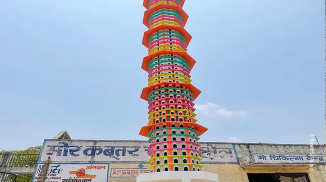 ଖୋଲା ଝରକା: ପକ୍ଷୀଙ୍କ ପାଇଁ ଆପାର୍ଟମେଣ୍ଟ୍‌