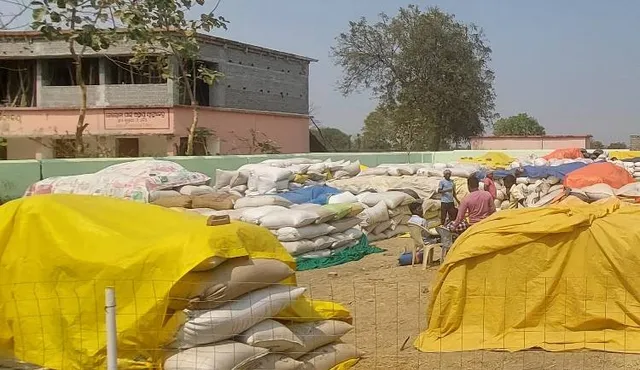 ଚାଷୀଙ୍କ ଟୋକନ୍‌ ଅବଧି ଶେଷ ହେବା ଘଟଣା: ଅଭିଯୋଗ ପରେ ରାତିଅଧିଆ ଉଠିଲା ଧାନ