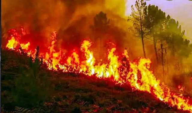 ଲକ୍ଷ୍ମୀଡୁଙ୍ଗୁରିରେ ପୁଣି ଲାଗିଲା ନିଆଁ