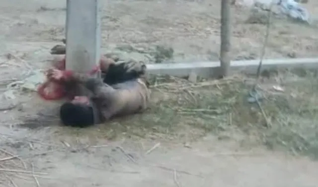 ମ୍ୟାଚ୍‌ ହାରିଯିବାରୁ ଯୁବକଙ୍କୁ ବିଦ୍ୟୁତ୍‌ ଖୁଣ୍ଟରେ ବାନ୍ଧି ପିଟିଲେ