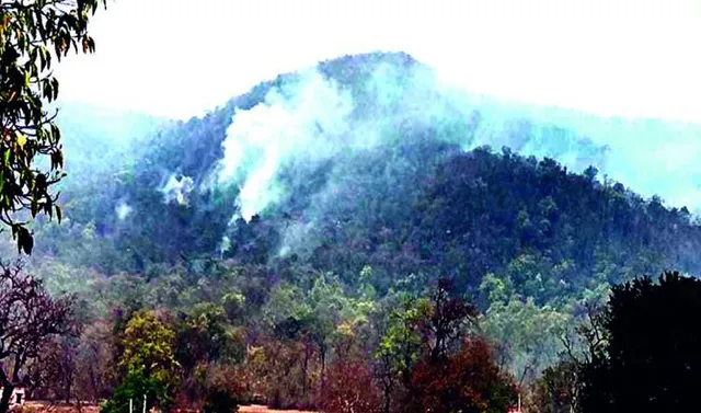 ଶିମିଳିପାଳ ଜଙ୍ଗଲରେ ନିଆଁ