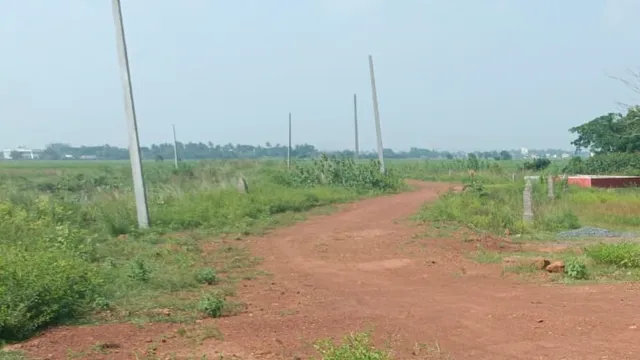 ଗୋଚର ଜମି ହଡ଼ପ କରି ପ୍ଲଟିଂ, ରାଜସ୍ୱ ବିଭାଗ ଜାଣି ଚୁପ