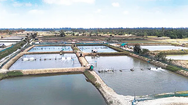 ଜଳଜୀବଙ୍କ ପାଇଁ ବିପଦ ସୃଷ୍ଟି କରୁଛି ବର୍ଜ୍ୟବସ୍ତୁ