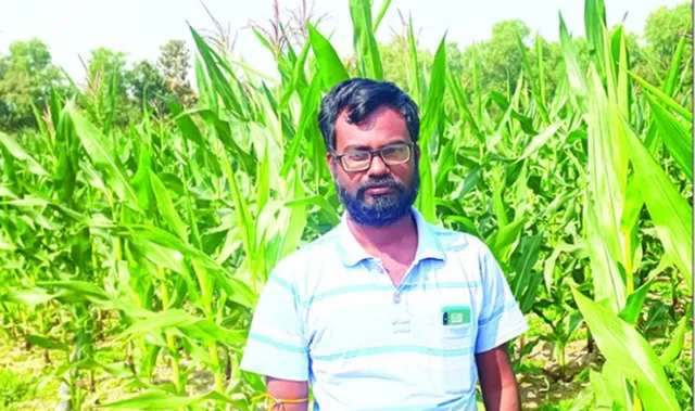 ଘାସ ଓ ମକା ଚାଷରୁ ମାସକୁ ଅଢ଼େଇ ଲକ୍ଷ ରୋଜଗାର