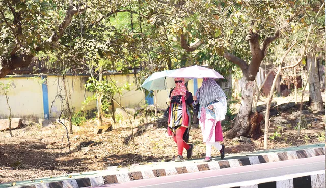 ଅସ୍ତବ୍ୟସ୍ତ କଲାଣି ଫେବ୍ରୁଆରି ଖରା