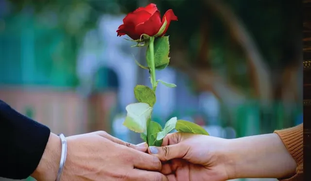 ଭାଲେଣ୍ଟାଇନ୍‌  ସପ୍ତାହ: ଗୋଲାପ‌ରେ ମନ ଗଲା ଏପାରିରୁ ସେପାରି