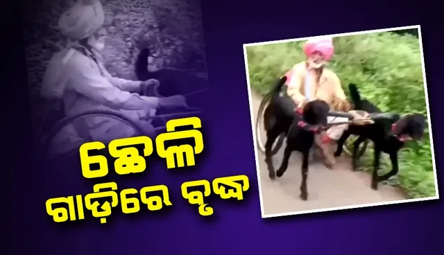 ବୃଦ୍ଧଙ୍କୁ ଛେଳି ଗାଡ଼ିରେ ଯାଉଥିବା ଦେଖି ଅସନ୍ତୋଷ ବ୍ୟକ୍ତ କରିଛନ୍ତି ସୋସିଆଲ ମିଡିଆ ବ୍ୟବହାରକାରୀ