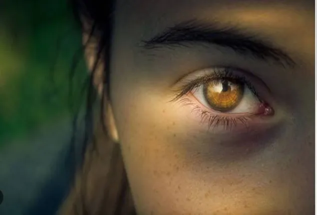 ଜାଣନ୍ତୁ, ‘ଗେଜ୍ ଡିଟେକ୍ସନ’ ସଂପର୍କରେ; ନ ଦେଖି ବି ଆପଣ ଅନୁଭବରେ କିପରି ଜାଣିପାରନ୍ତି ଅନେକ କଥା...