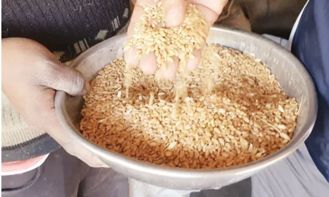 ମଧ୍ୟପ୍ରଦେଶରେ ଧରାପଡ଼ିଲା ଏମଏସପି ଦୁର୍ନୀତି, ପ୍ରତି ଗହମ ବସ୍ତାରେ ୪୦ କିଲୋ ବାଲି