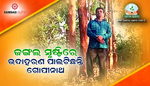 ଜଙ୍ଗଲ ସୃଷ୍ଟିରେ ଉଦାହରଣ ପାଲଟିଛନ୍ତି ଗୋପୀନାଥ